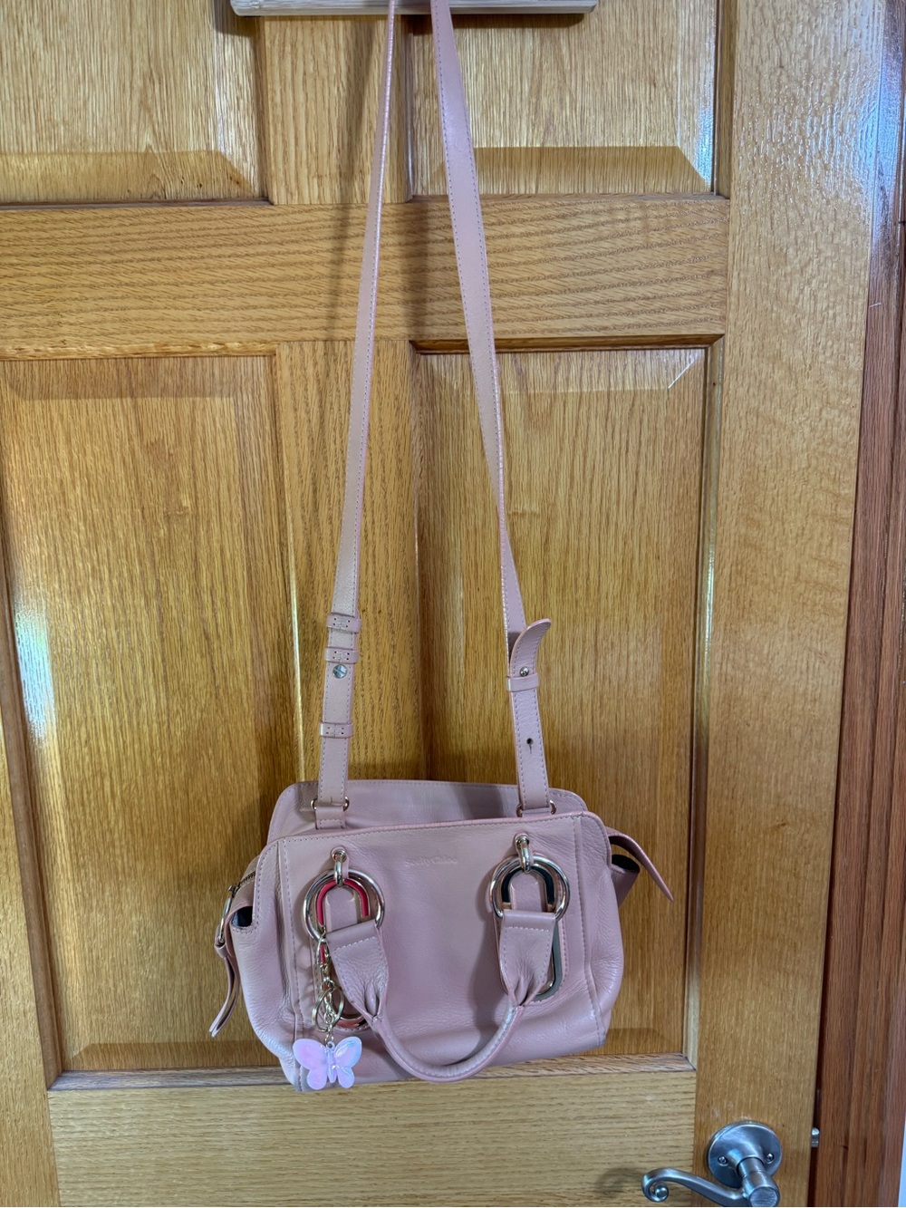 See By Chloé Pale Pink Leather Crossbody Bag with Butterfly Charm